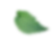 Elemento decorativo foglia