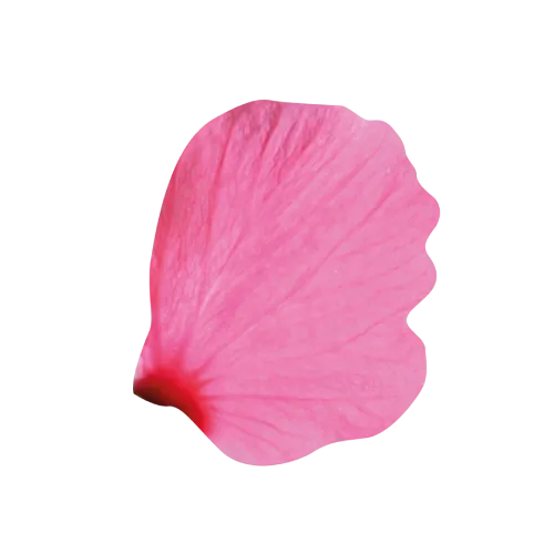 Petalo