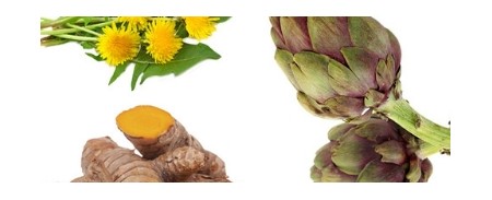 Detox naturale con Tarassaco, Carciofo e Curcuma